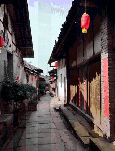 逃离野丛之森
